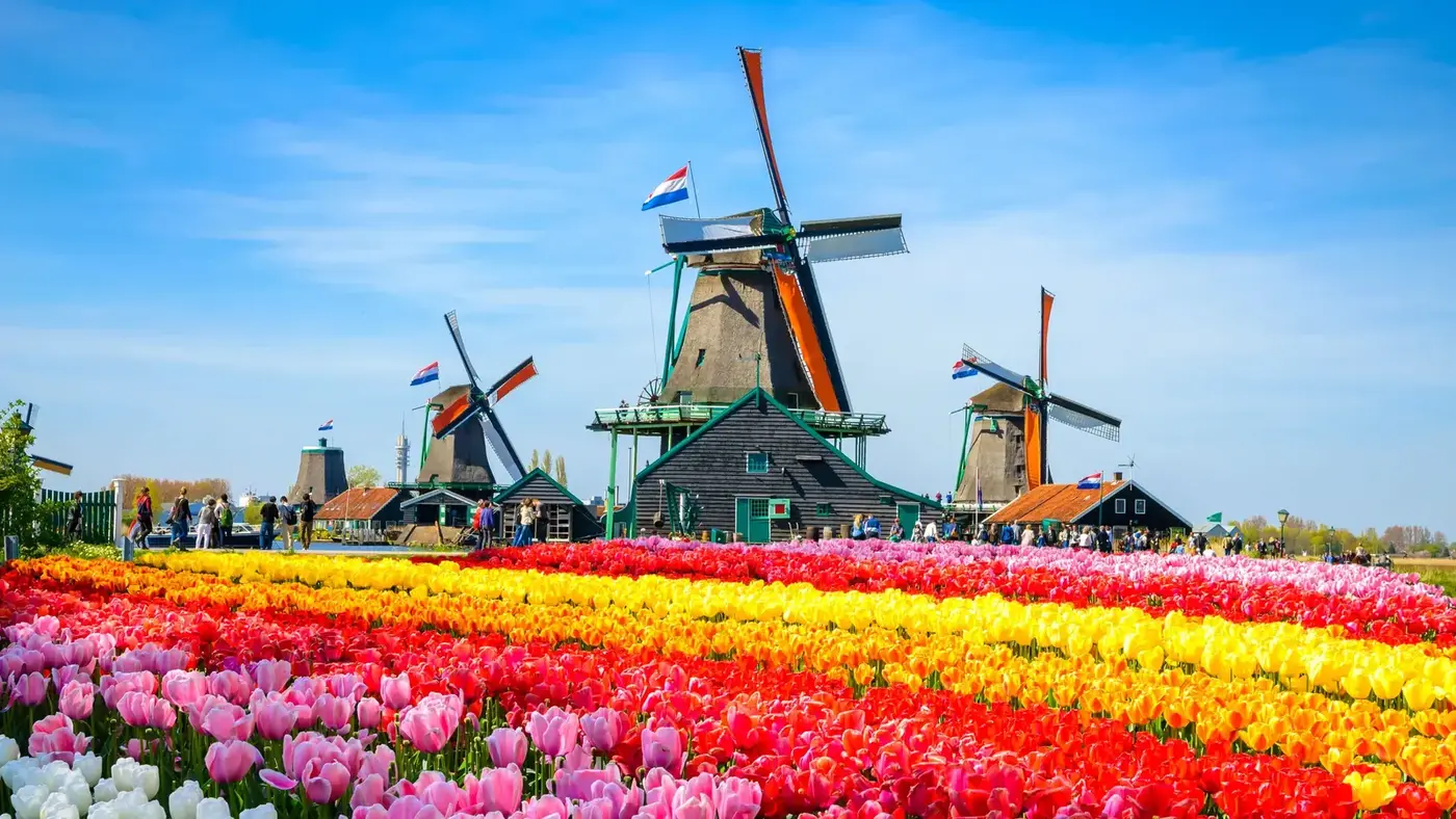 Widok – Amsterdam