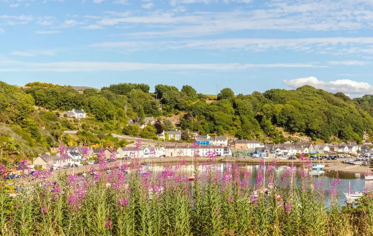 Destynacja promowa: Fishguard