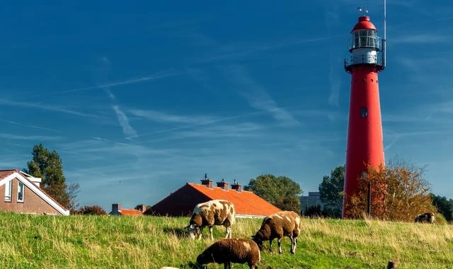 Widok – Hoek van Holland