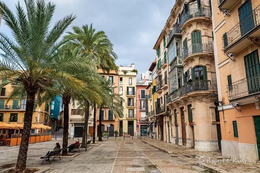 Destynacja promowa: Palma de Majorka
