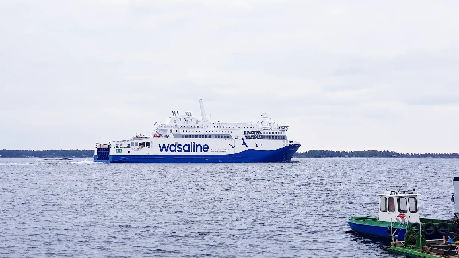 Aurora Botnia w barwach Wasaline